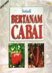 Bertanam Cabai